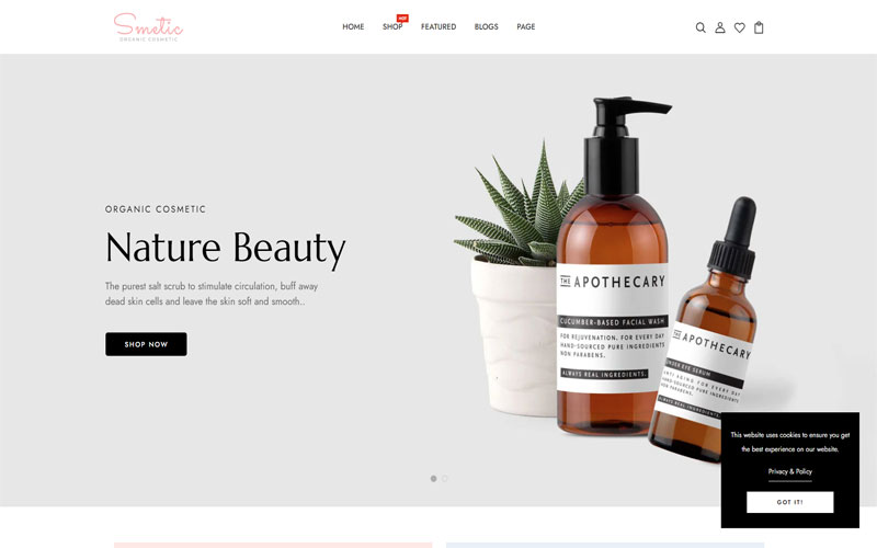 Mẫu thiết kế website mỹ phẩm 1